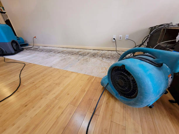 Professional Ceiling Water Damage Repair technician working in Langston, AL